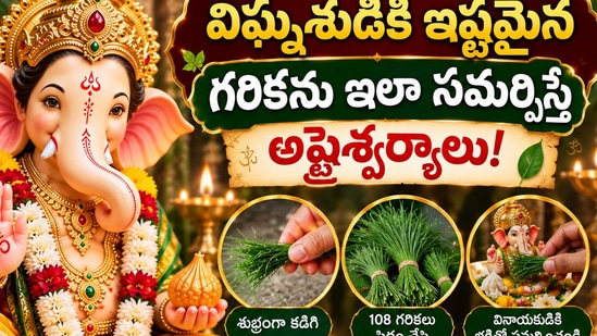 గణేష్ చతుర్థి: విఘ్నేశుడికి ఇష్టమైన గరికను ఇలా సమర్పిస్తే అష్టైశ్వర్యాలు! (AI)