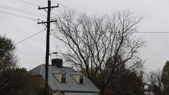 Heavy rainfall in New Jersey resulted in power outages exceeding 5,600 customers on Sunday. 