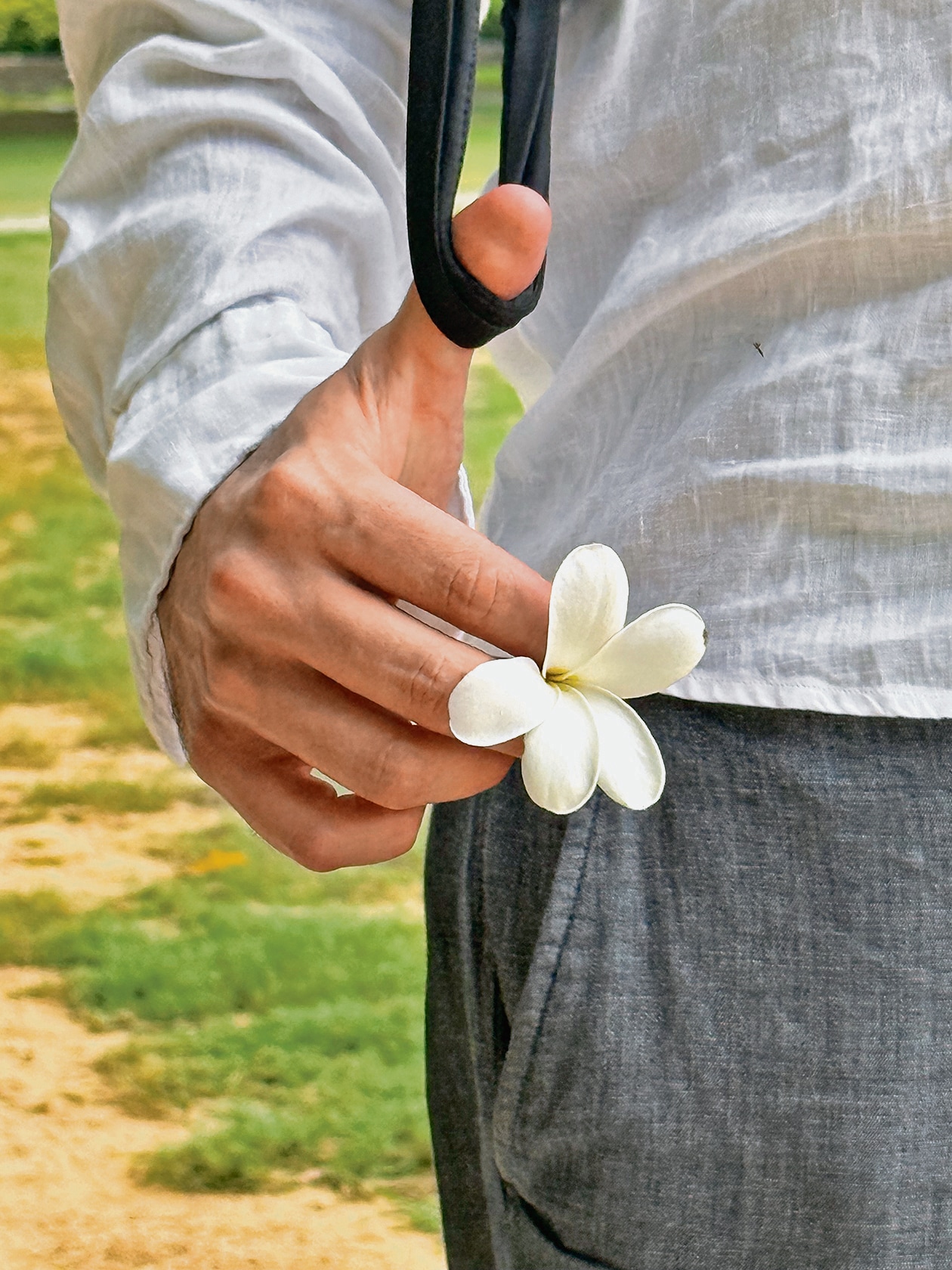 Delhiwale: A flower, 20 times