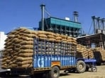 Paddy procurement is expected to begin from October 1. (HT File)