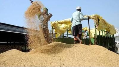 During a meeting with officials of the Centre’s ministry of food and public distribution, Punjab rice millers on Monday demanded additional labour costs for segregating 10% broken rice while processing paddy for custom milled rice (CMR) to be handed over to the central pool for the upcoming season starting October 1. (File)