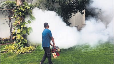 Maharashtra has recorded a sharp rise in cases of vector-borne diseases this monsoon; with more than 13,000 cases of dengue, malaria and chikungunya reported till August this year. ((PIC FOR REPRESENTATION)) Maharashtra has recorded a sharp rise in cases of vector-borne diseases this monsoon; with more than 13,000 cases of dengue, malaria and chikungunya reported till August this year. ((PIC FOR REPRESENTATION))