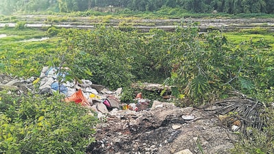 Mundhwa police file FIR against three persons for allegedly dumping construction debris at an open plot near Water Colours society in Keshavnagar, Mundhwa, causing water pollution. (HT) Mundhwa police file FIR against three persons for allegedly dumping construction debris at an open plot near Water Colours society in Keshavnagar, Mundhwa, causing water pollution. (HT)