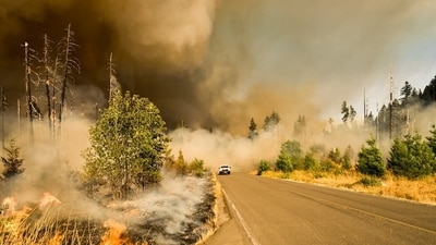 Fire crews and air resources respond to the Palos Fire burning near Lupin Hill Road in Whittier. (UnSplash) Fire crews and air resources respond to the Palos Fire burning near Lupin Hill Road in Whittier. (UnSplash)