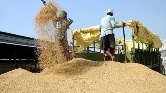 During a meeting with officials of the Centre’s ministry of food and public distribution, Punjab rice millers on Monday demanded additional labour costs for segregating 10% broken rice while processing paddy for custom milled rice (CMR) to be handed over to the central pool for the upcoming season starting October 1. (File)