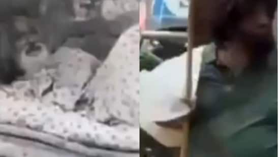 A video of the MLA in disguise went viral on social media, initially surprising viewers before details of the act emerged.