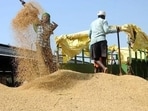 During a meeting with officials of the Centre’s ministry of food and public distribution, Punjab rice millers on Monday demanded additional labour costs for segregating 10% broken rice while processing paddy for custom milled rice (CMR) to be handed over to the central pool for the upcoming season starting October 1. (File)