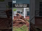 China: Powerful Tornado Hits Hainan, Topples Trees in Wanning