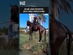 Spain Firefighters Airlift Horse Trapped In Pond In Dramatic Rescue Operation
