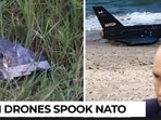 NATO fighter jets shot down a drone that entered Lithuanian airspace overnight on September 15, President Gitanas Nausėda said.