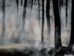 Wildfire in Meridian, Texas.