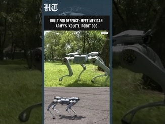 Mexican Army Unveils ‘Xolotl’ Robot Dog Built For Defence And High-Risk Military Operations
