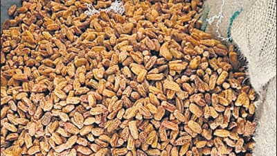 DRI seizes Pakistan-origin dry dates worth ₹5.66 crore DRI seizes Pakistan-origin dry dates worth ₹5.66 crore