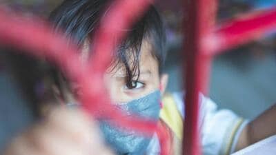 Pollution in Delhi spikes following the harvesting of crops in the northern plains, which often clashes with Diwali. (Representative file photo)