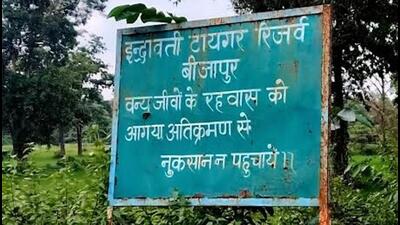 The forest department’s growing access to the reserve is also revealing undocumented wildlife. (HT Photo) The forest department’s growing access to the reserve is also revealing undocumented wildlife. (HT Photo)