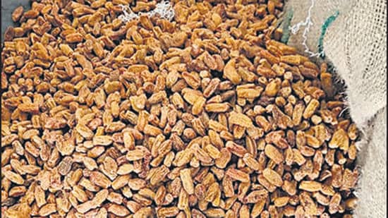 DRI seizes Pakistan-origin dry dates worth ₹5.66 crore