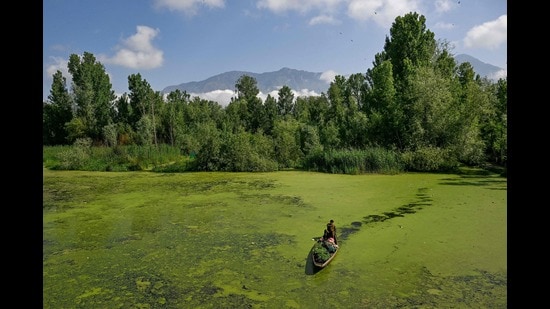A man rows his boat carrying vegetables through a polluted area of the iconic Dal Lake in Srinagar on May 14, 2026. Kashmiri artisans are turning weeds pulled from Srinagar's famous Dal Lake into a new ingredient for the centuries-old craft of papier-mache, one of Kashmir's best-known traditional art forms. (AFP)
