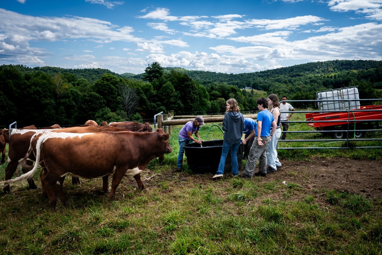 Students refill the cattle's water trough. Their contributions help keep the farm running. Students refill the cattle's water trough. Their contributions help keep the farm running.