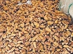 DRI seizes Pakistan-origin dry dates worth  <span class='webrupee'>₹</span>5.66 crore