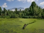A man rows his boat carrying vegetables through a polluted area of the iconic Dal Lake in Srinagar on May 14, 2026. Kashmiri artisans are turning weeds pulled from Srinagar's famous Dal Lake into a new ingredient for the centuries-old craft of papier-mache, one of Kashmir's best-known traditional art forms. (AFP)