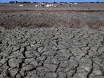 Chief minister Devendra Fadnavis directed the administration to initiate relief measures to help farmers.