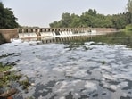 The state said a proposal to continue the National River Conservation Plan under the 16th Finance Commission cycle, covering 2026-27 to 2030-31, was still under consideration. (FILE)