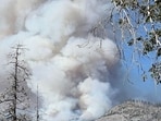 Yosemite National Park wildfire map and evacuation updates: Dome Fire rapidly grows to 100 acres(Yosemite National Park﻿/Facebook)