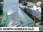 North Korea's lone missile sub vanished into drydock?