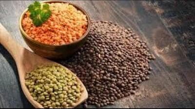 Additional chief secretary, agriculture, Vijayendra Kumar said that moong will be procured from October 1 to November 15 at 38 mandis. (HT Photo)