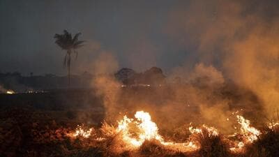 As the PPCB started monitoring the stubble burning cases, two such fire incidents were recorded on September 15 in Tarn Taran district (AP)