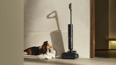 Cordless vacuum cleaners are convenient, but are they actually replacing your broom, mop and regular vacuum?
