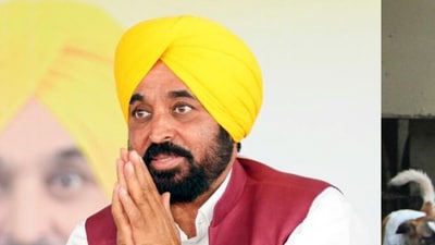 His administration highlights initiatives in education, healthcare, and infrastructure, while criticizing past governments for neglecting essential water and resource management. (ANI/HT File Photo) His administration highlights initiatives in education, healthcare, and infrastructure, while criticizing past governments for neglecting essential water and resource management. (ANI/HT File Photo)