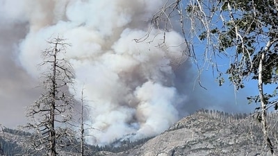 Yosemite National Park wildfire map and evacuation updates: Dome Fire rapidly grows to 100 acres (Yosemite National Park/Facebook) Yosemite National Park wildfire map and evacuation updates: Dome Fire rapidly grows to 100 acres (Yosemite National Park/Facebook)
