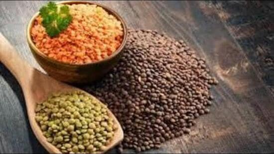 Additional chief secretary, agriculture, Vijayendra Kumar said that moong will be procured from October 1 to November 15 at 38 mandis. (HT Photo)