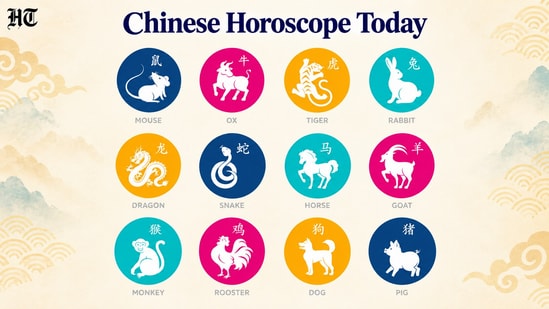 Chinese Horoscope Today: Read the astrological predictions for each zodiac sign (pinterest)
