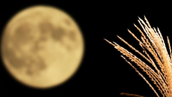A Harvest Full Moon or the September Full Moon.
