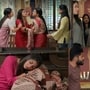 Gunde Ninda Gudi Gantalu Today Episode: రోహిణిని బయటకు గెంటేసిన ప్రభావతి.. జాబ్ మానేసిన శృతి.. మీనాపై అలిగిన బాలు