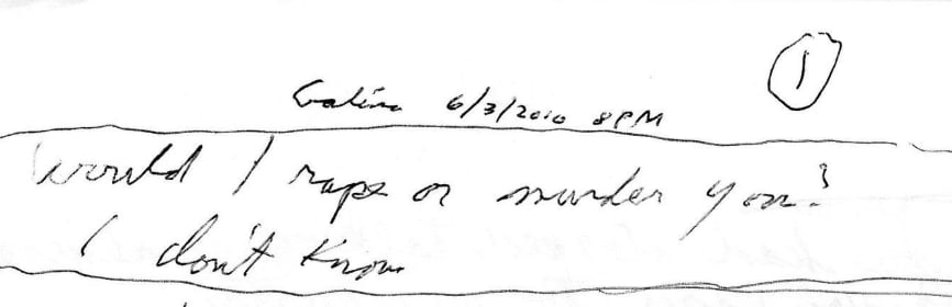 The above-mentioned diary entry (Credit - Galina Trefil)
