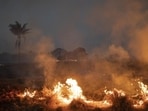 As the PPCB started monitoring the stubble burning cases, two such fire incidents were recorded on September 15 in Tarn Taran district (AP)