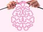 Neuroplasticity, a legit scientific term, has become the internet’s favourite shortcut. (SHUTTERSTOCK)