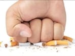 The excise department seized imported cigarettes with an estimated wholesale value of  <span class='webrupee'>₹</span>5,200, while loose cigarettes worth around  <span class='webrupee'>₹</span>18,000 were destroyed. (HT File)