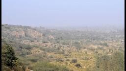 Haryana to conduct wildlife census in Aravallis Haryana to conduct wildlife census in Aravallis