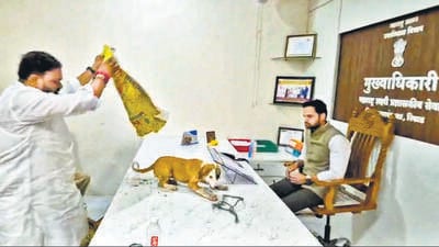 Aaditya Thackeray asks Sena (UBT) worker to apologise over dog protest Aaditya Thackeray asks Sena (UBT) worker to apologise over dog protest