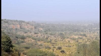 According to the forest department, the state has no recent population estimates for wildlife in the Aravallis (HT) According to the forest department, the state has no recent population estimates for wildlife in the Aravallis (HT)