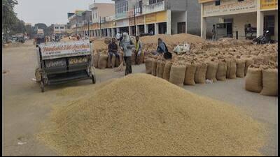 According to the schedule, the procurement in Haryana is to begin from October 1. (HT Photo for representation)