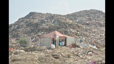 The crisis is most acute in Amritsar, Ludhiana, Jalandhar, Mohali, and Sangrur. (HT)