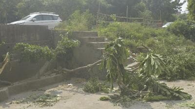 The incident took place around 7.30am near Sain Chowk in Vijay Nagar and was captured by a CCTV camera installed nearby, police said. (Sakib Ali/HT Photo) The incident took place around 7.30am near Sain Chowk in Vijay Nagar and was captured by a CCTV camera installed nearby, police said. (Sakib Ali/HT Photo)