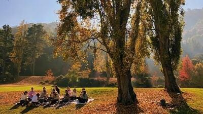 When spoken with warmth and respect, languages become bridge. (HT File)