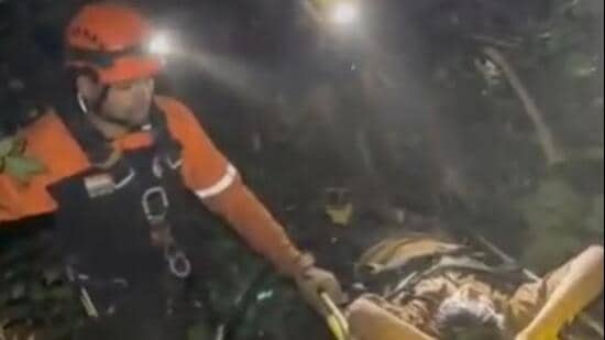 Tree halts truck’s plunge into 500-foot-deep gorge, gives rescuers time to save driver