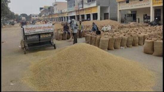 According to the schedule, the procurement in Haryana is to begin from October 1. (HT Photo for representation)